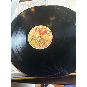 Will the Circle Be Unbroken by The Nitty Gritty Dirt Band (Record, 2013)